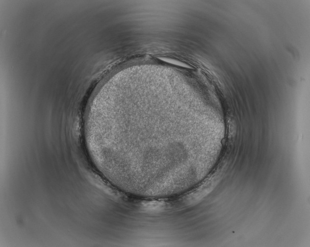 X0000112010362200908311139