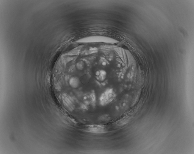 X0000112010363200908311139