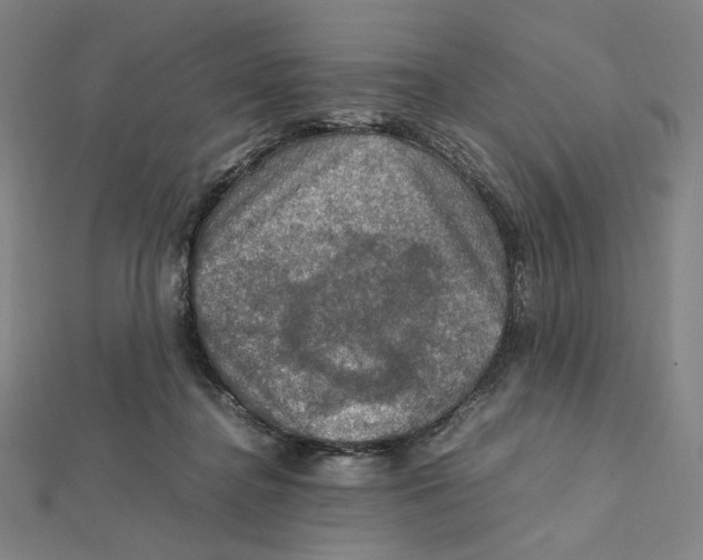 X0000112010364200908311139