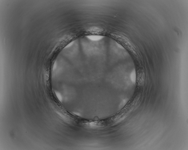 X0000112010365200908311139