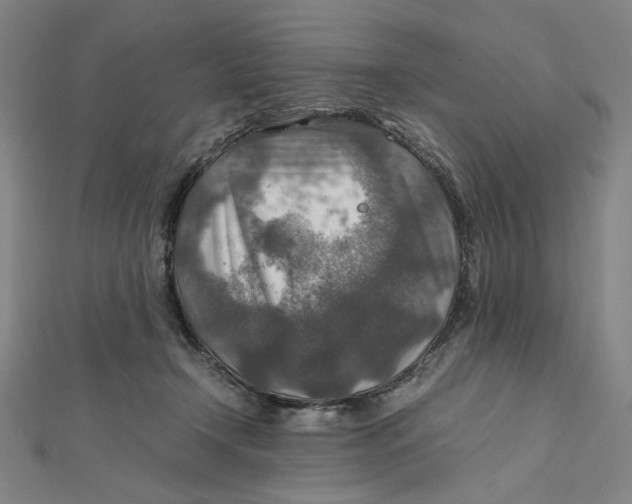 X0000112010366200908311139