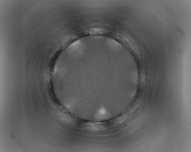 X0000112010367200908311139