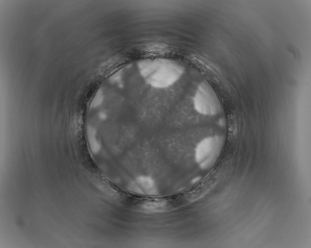 X0000112010369200908311139