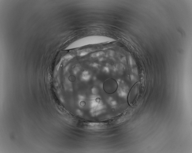 X0000112010371200908311139