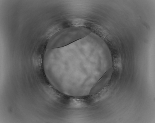 X0000112010372200908311139