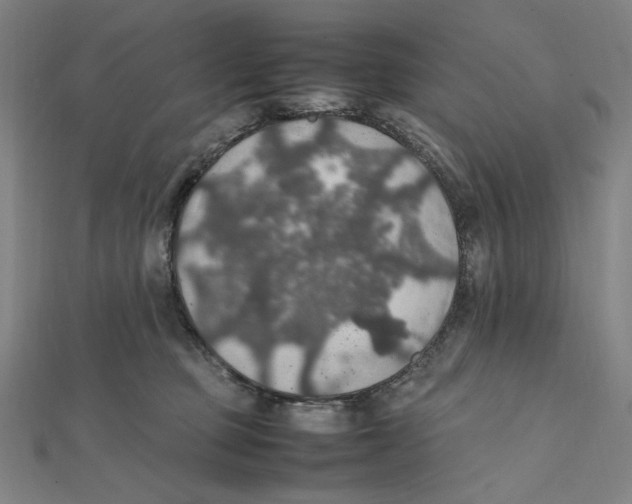X0000112010373200908311139