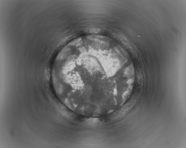 X0000112010374200908311139