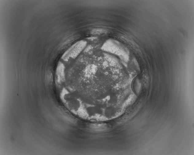 X0000112010375200908311139