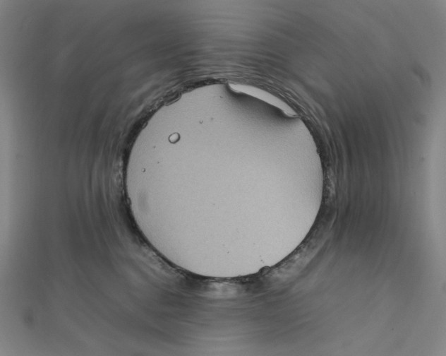 X0000112010376200908311139