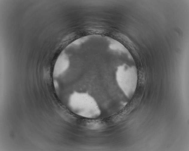 X0000112010377200908311139
