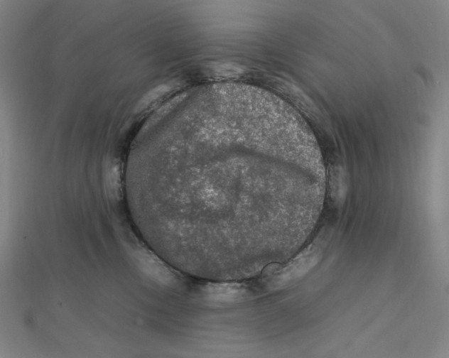 X0000112010378200908311139