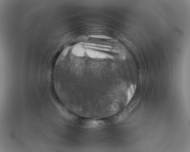 X0000112010379200908311139