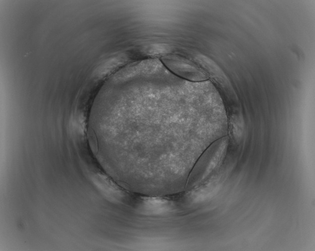 X0000112010380200908311139