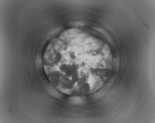 X0000112010381200908311139