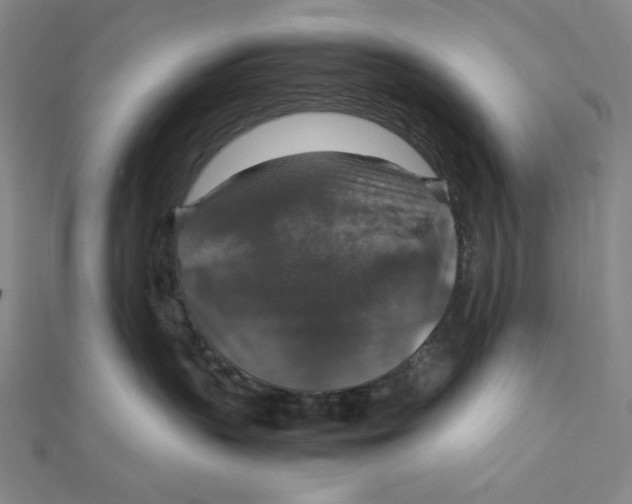 X0000112010383200908311139