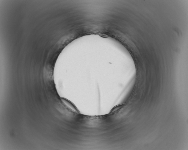 X0000112010384200908311139