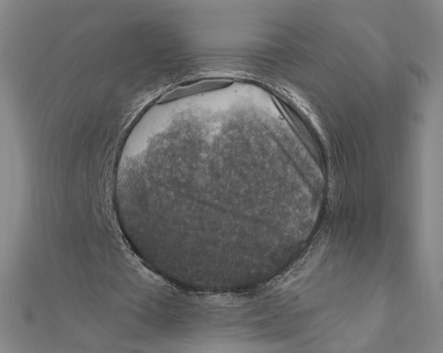 X0000112010385200908311138
