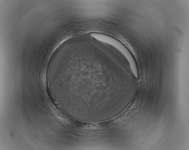 X0000112010386200908311138