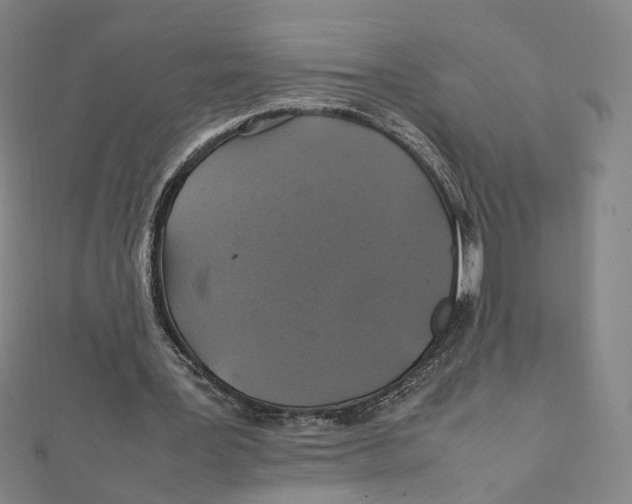 X0000112010387200908311138