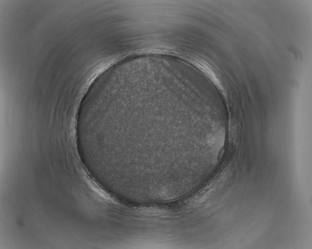 X0000112010389200908311138