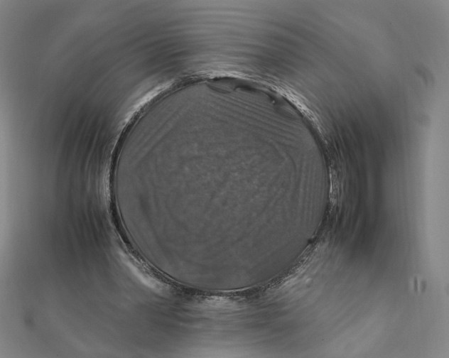 X0000112010390200908311138