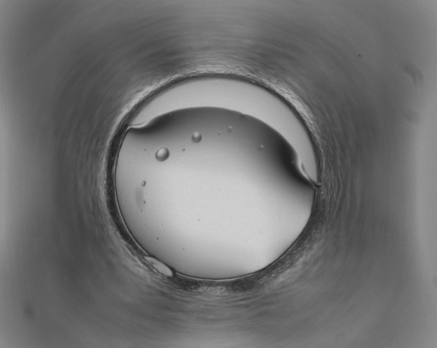 X0000112010391200908311138