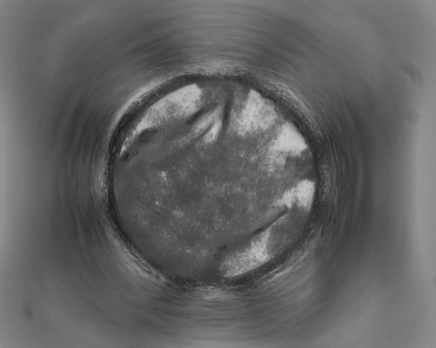 X0000112010392200908311138