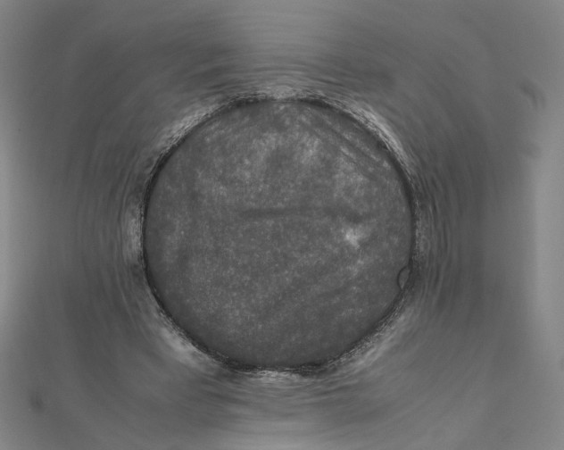 X0000112010393200908311138