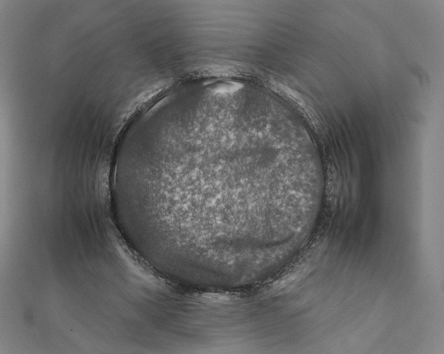 X0000112010394200908311138