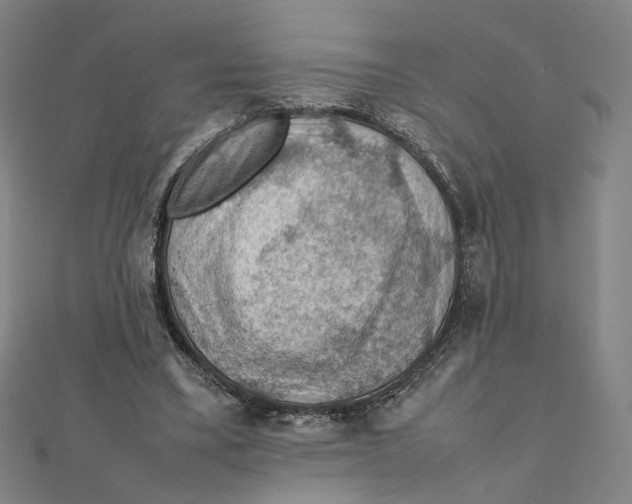 X0000112010395200908311138