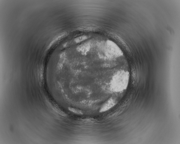 X0000112010396200908311138