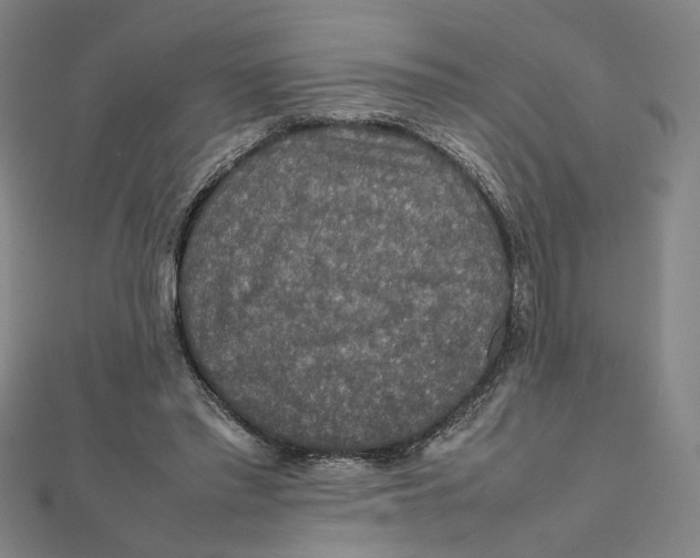 X0000112010397200908311138
