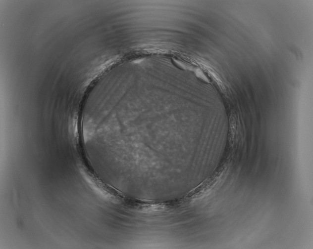 X0000112010398200908311138