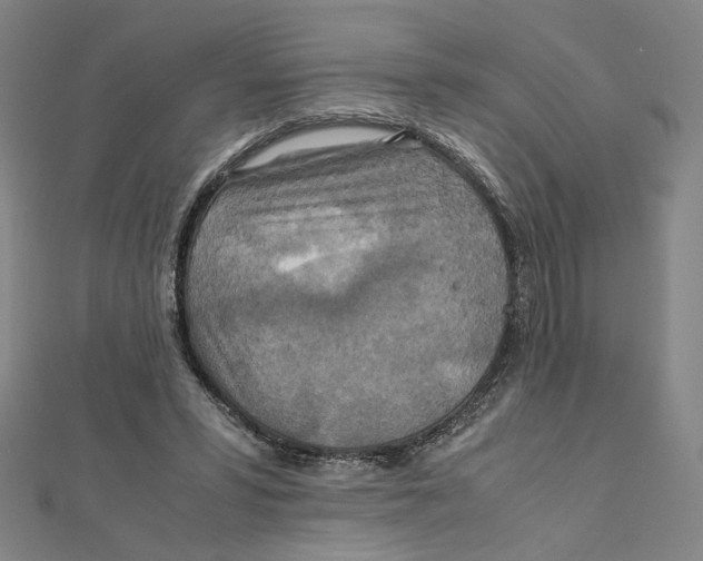 X0000112010399200908311138