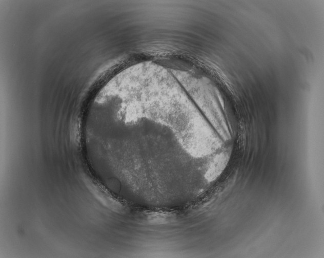 X0000112010400200908311138