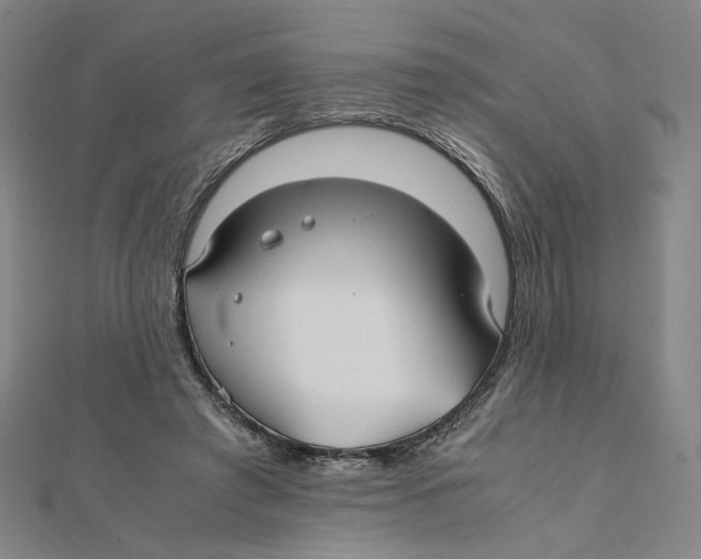 X0000112010401200908311138
