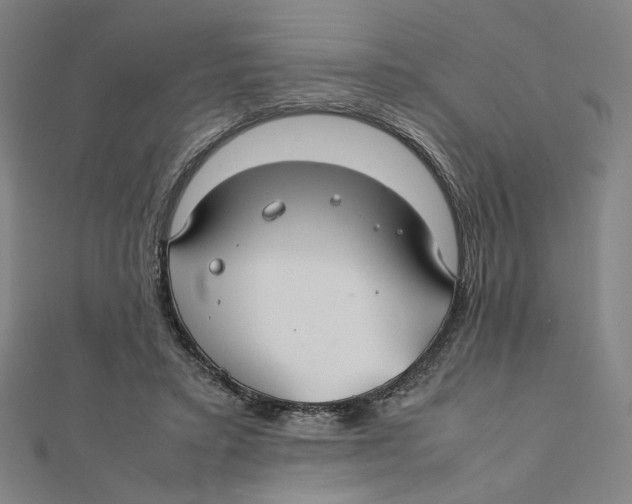 X0000112010403200908311138