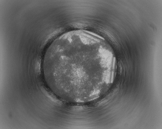 X0000112010404200908311138