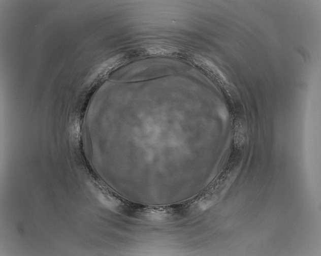 X0000112010405200908311138