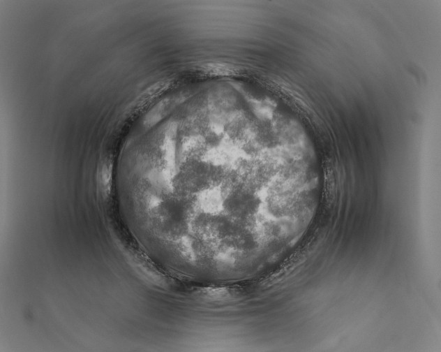 X0000112010406200908311138