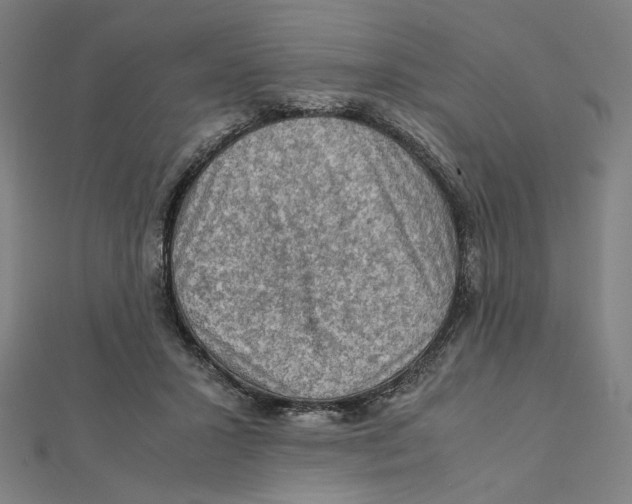 X0000112010407200908311138