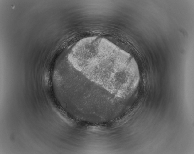 X0000112010408200908311138