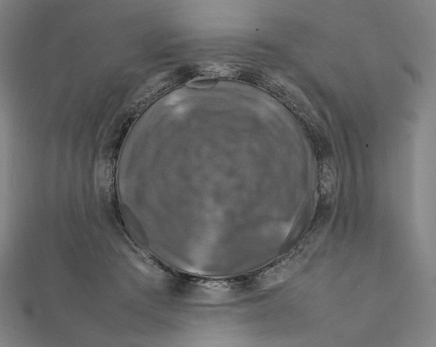 X0000112010409200908311138