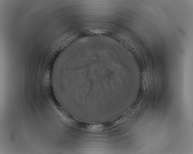 X0000112010410200908311138