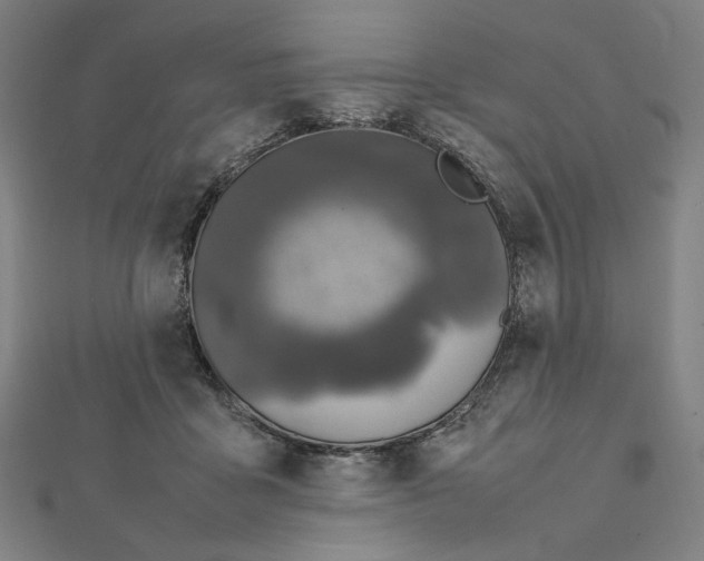 X0000112010411200908311138