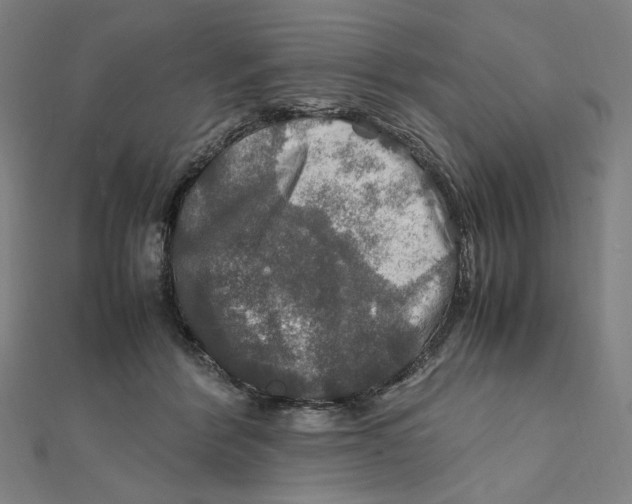 X0000112010412200908311138