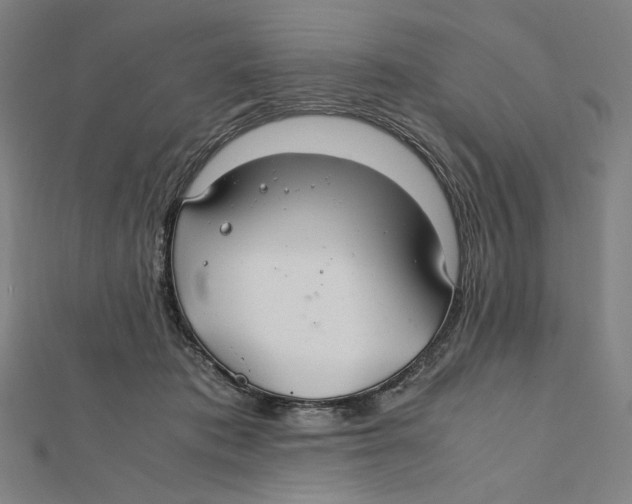X0000112010413200908311138