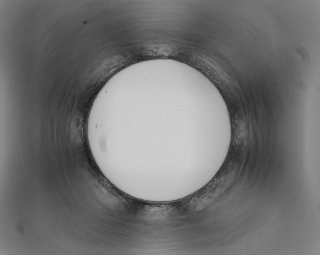 X0000112010414200908311138
