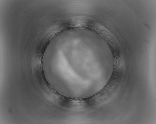 X0000112010415200908311138