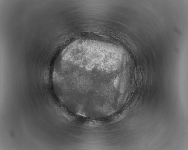 X0000112010416200908311138